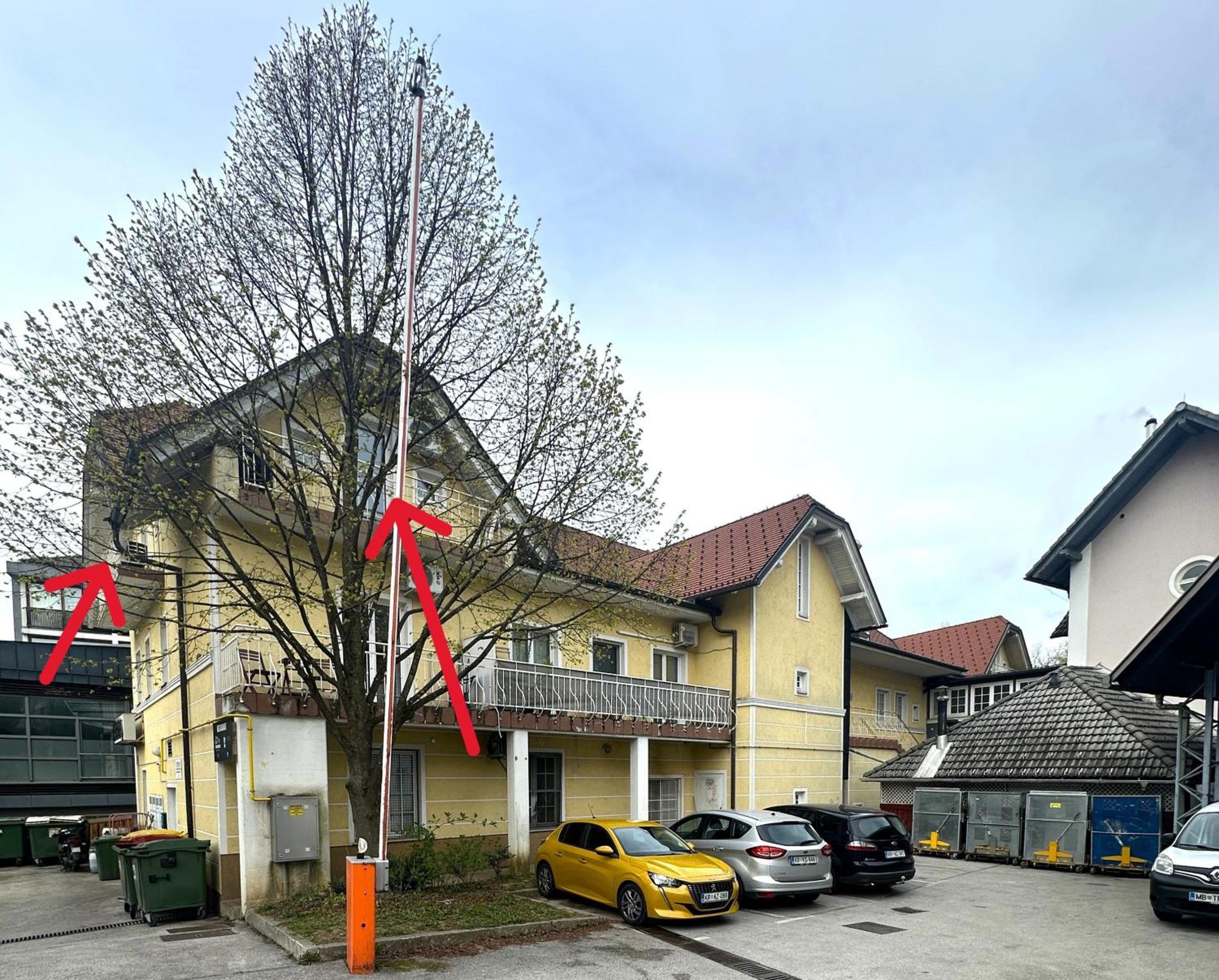 Apartment Emona Bled 4 Exterior foto
